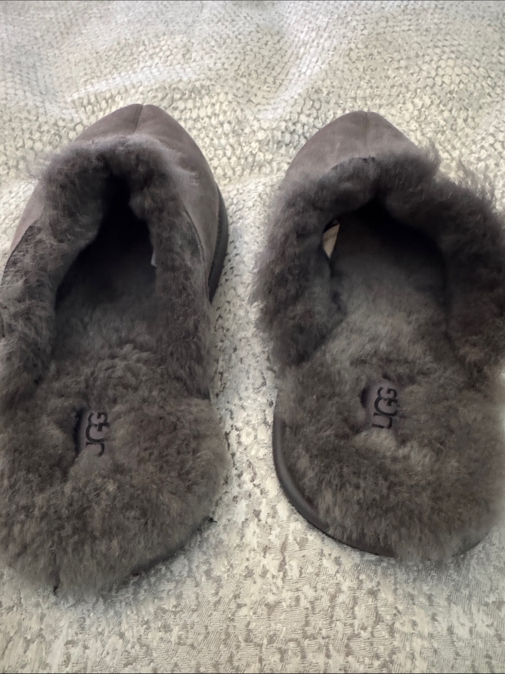 UGG Men's Scuff Slippers in Charcoal Suede Shearling Lining - Picture 5 of 6